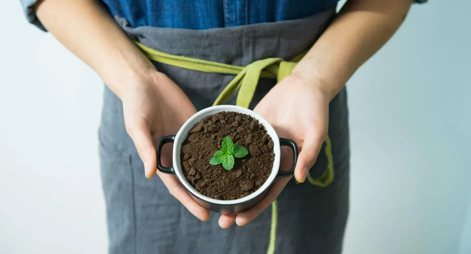Des mains tenant un plant et de la terre, illustration issue du site Startwave